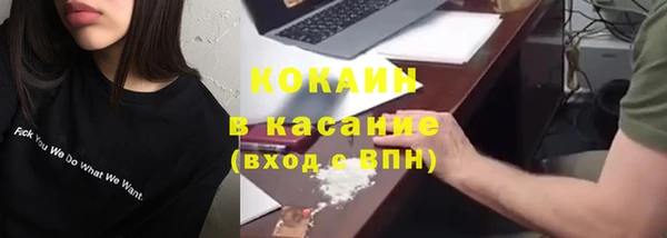 дживик Мегион