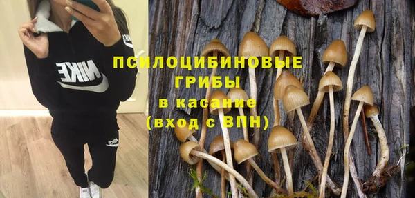 бутират Медногорск
