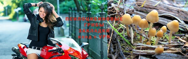 дживик Мегион