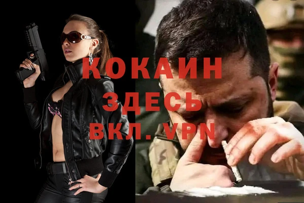 дживик Мегион